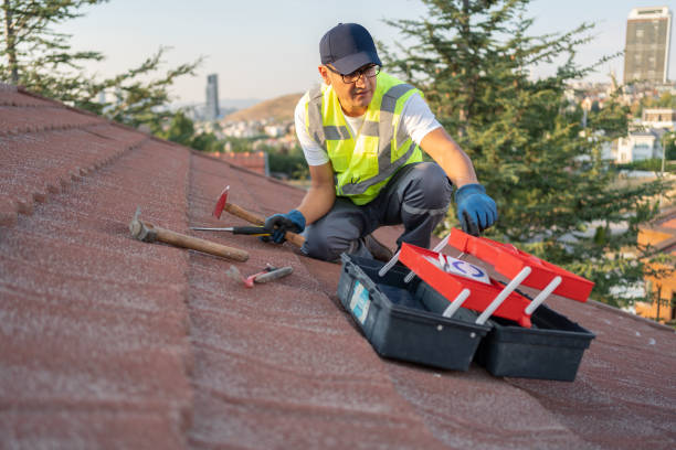 Best Insulated Siding Installation  in Iroquois Point, HI